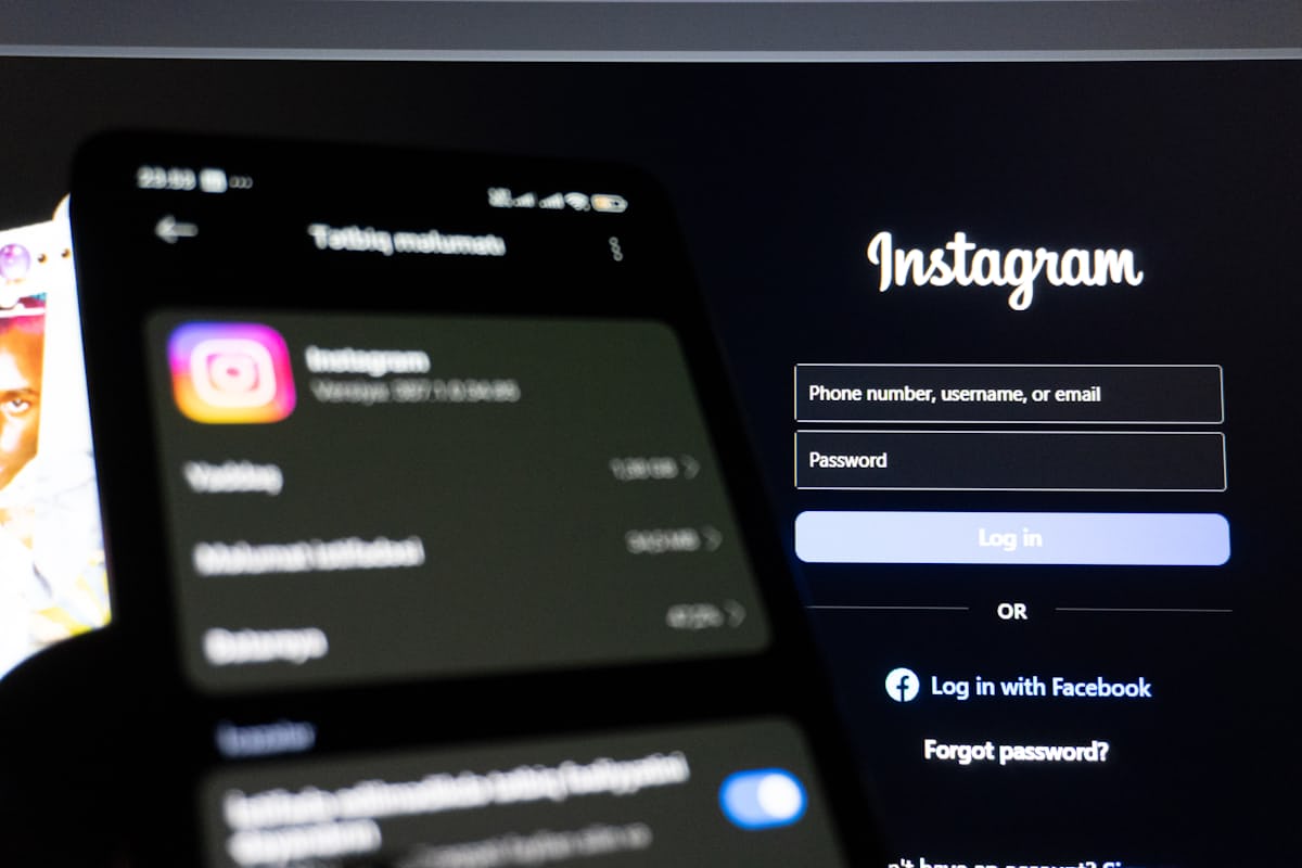 菠萝视频手机版免费下载